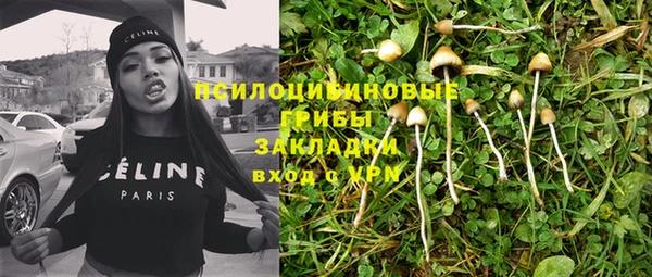 прущие грибы Абаза
