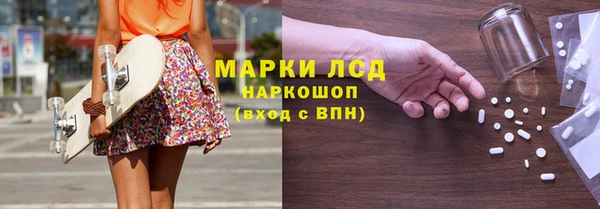 прущие грибы Абаза