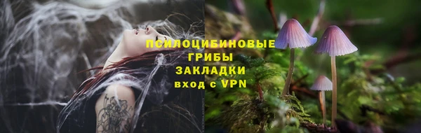 СК Абдулино
