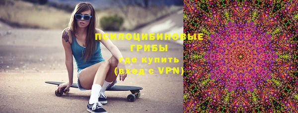 прущие грибы Абаза