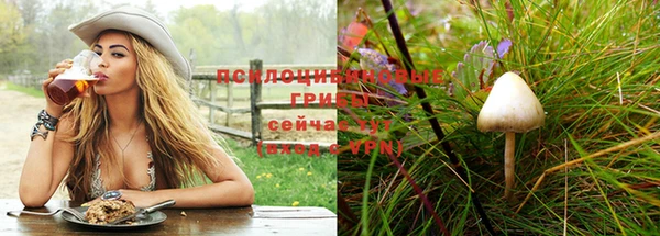 СК Абдулино