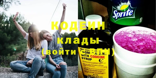 прущие грибы Абаза