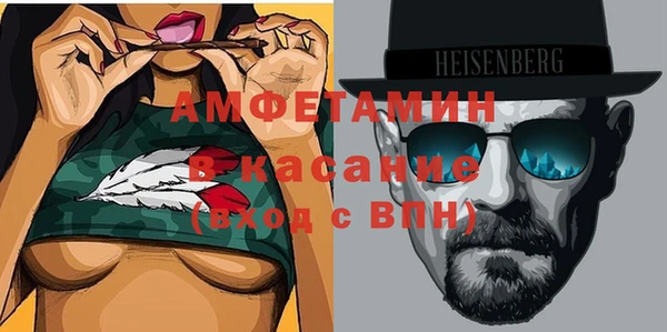 прущие грибы Абаза