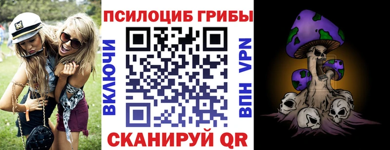 Галлюциногенные грибы Psilocybine cubensis где можно купить Гагарин